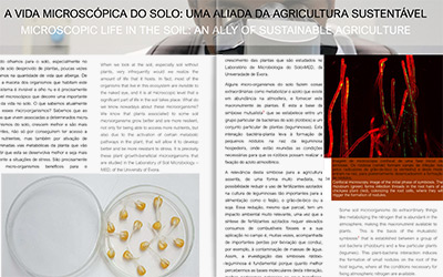 Revista GEIA publica artigo ”A vida microscópica do solo: uma aliada da agricultura sustentável”, mencionando a abordagem do BIOPROTOMATE