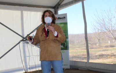 São Manços – Conversas de Campo, promovidas pela Alltech Crop Science e pela Agrobeja